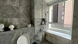 The Peak @ Cairnhill I (D9), Apartment #491057601